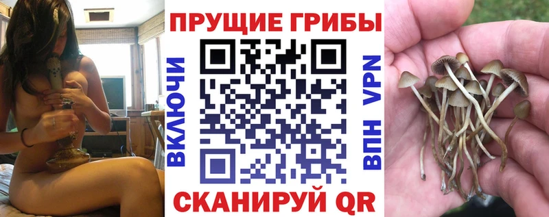 Галлюциногенные грибы Cubensis  Ленинск-Кузнецкий 